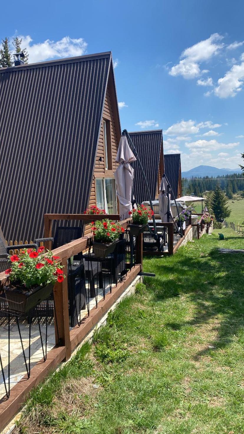 Vila Woodmood Žabljak Exteriér fotografie